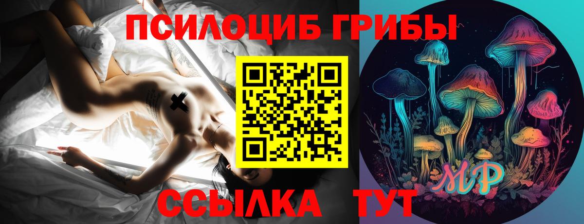 Галлюциногенные грибы Psilocybine cubensis  Вход с VPN  Сосновый Бор  Галлюциногенные грибы прущие грибы 