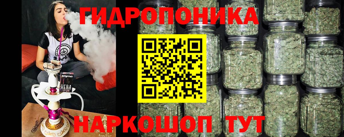 Конопля гибрид Сосновый Бор
